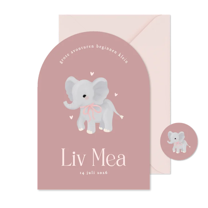 Schattig roze geboortekaartje boog met olifantje meisje