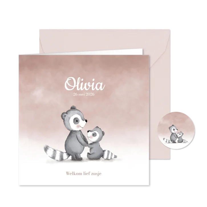 Schattige geboortekaartje tweede kindje dasjes