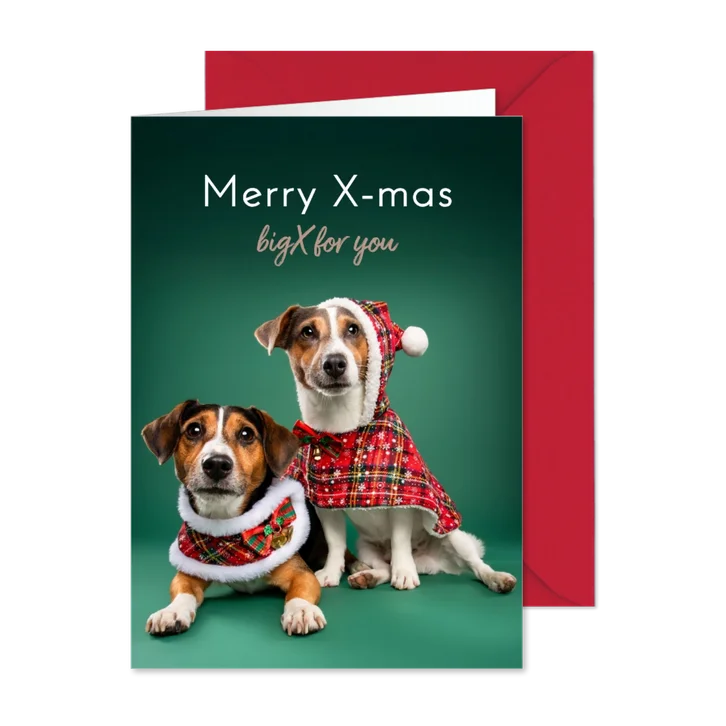 Schattige kerstkaart van hondjes met kerstkleding