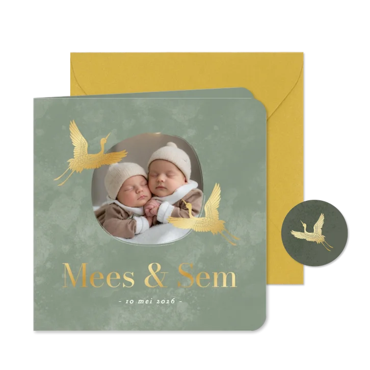 Stijlvol geboortekaartje tweeling met foto groen met vogels