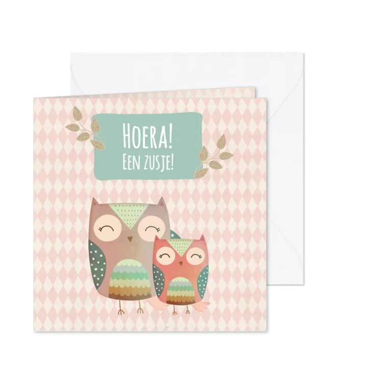 Uiltjes Hoera een zusje! - BK