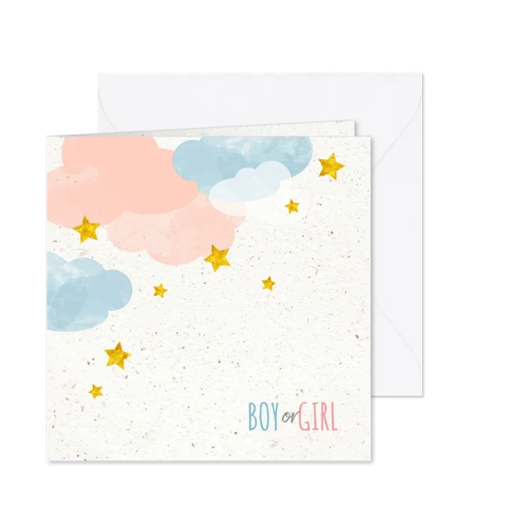 Uitnodiging gender reveal party in de wolken vk