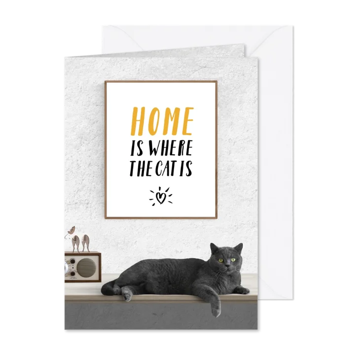 Uitnodiging Home is where the cat is