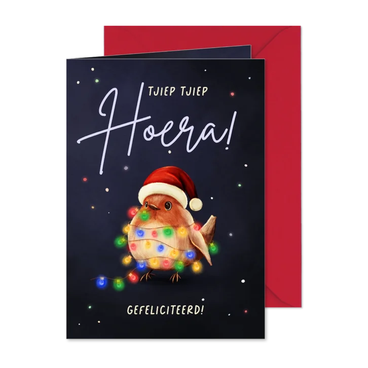 Vrolijke kerst verjaardagskaart roodborstje met lampjes