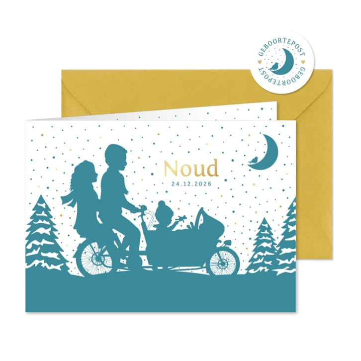 Winters geboortekaartje jongen met 2 broertjes in bakfiets 