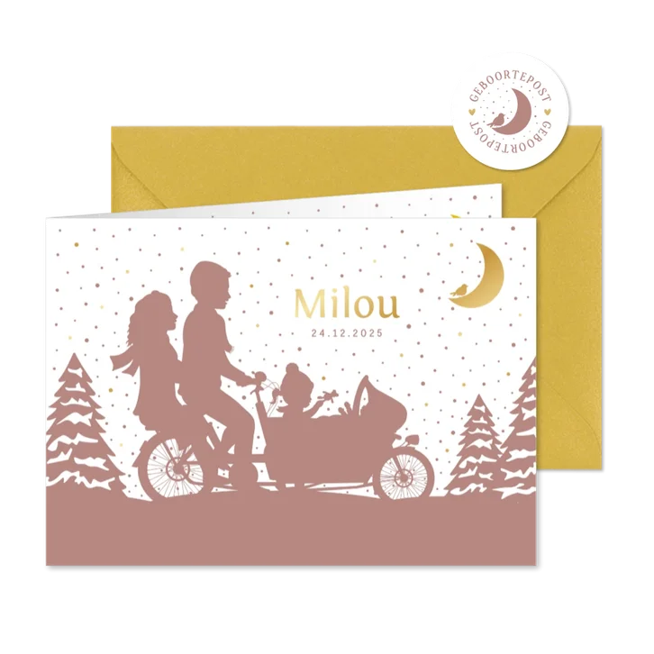 Winters geboortekaartje meisje met 2 zusjes in een bakfiets 