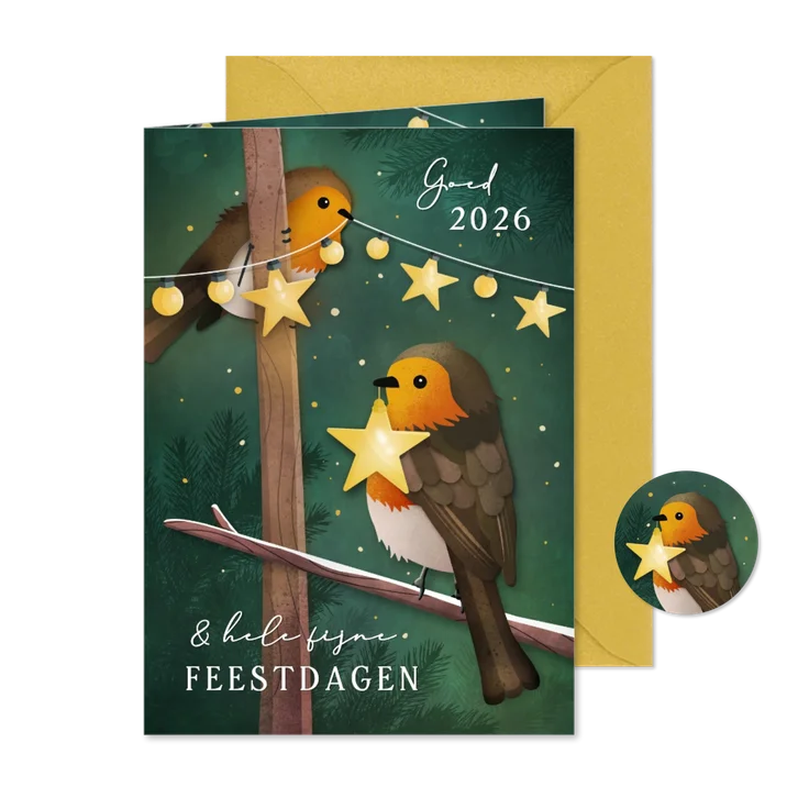 Zakelijke kerstkaart met roodborstjes en lampjes