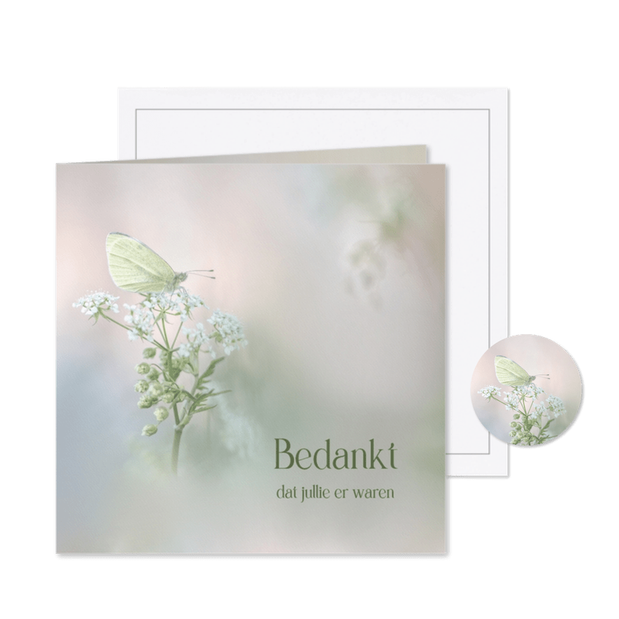 Bedankkaart koolwitje op fluitenkruid - Kaartimpressie