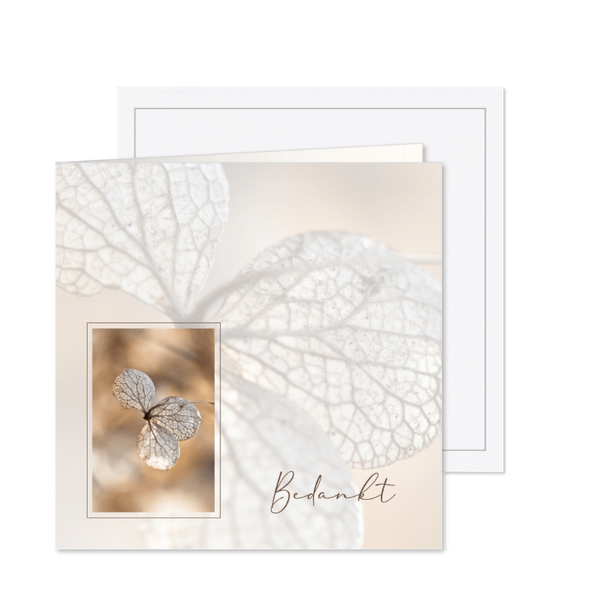 Bedankkaart met hortensia sepia - Kaartimpressie