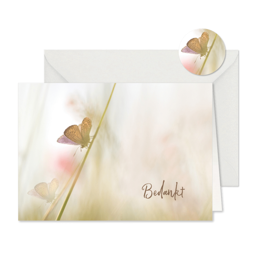 Bedankkaart met vlinders - Kaartimpressie