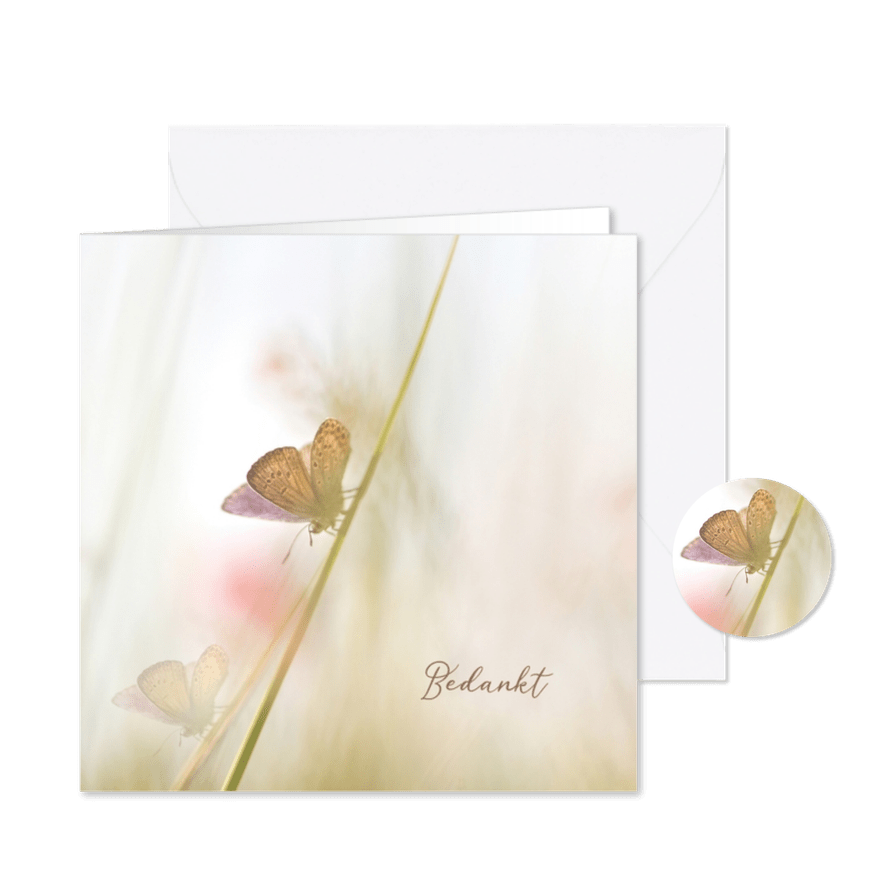 Bedankkaart vlinders-vierkant - Kaartimpressie