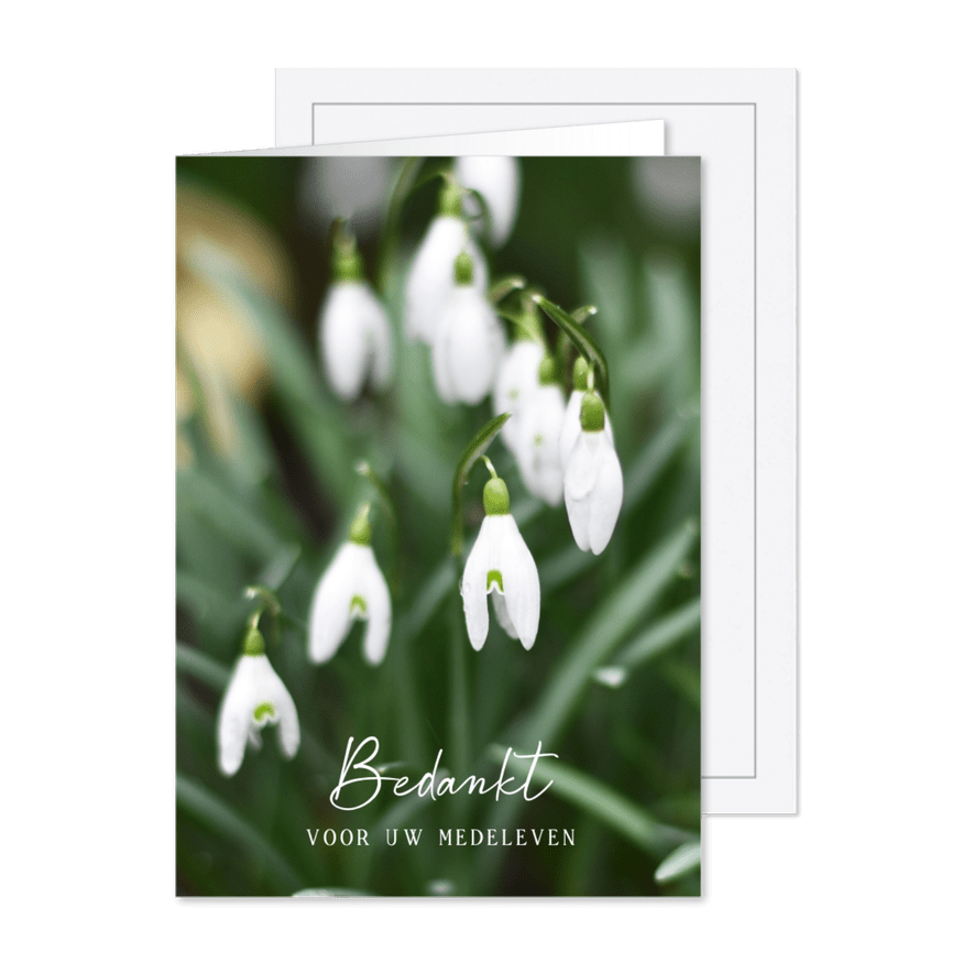Bedankt rouw nagedachtenis kaart met sneeuwklokjes - Kaartimpressie