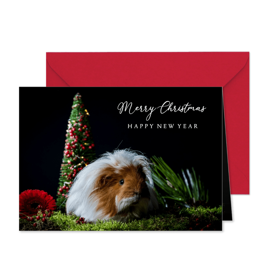 Cavia kerstkaart - Kaartimpressie