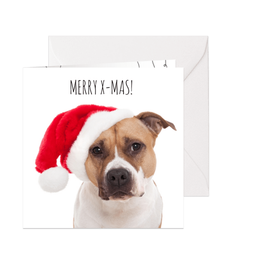 Dieren kerstkaart - Hond - Merry - Kaartimpressie