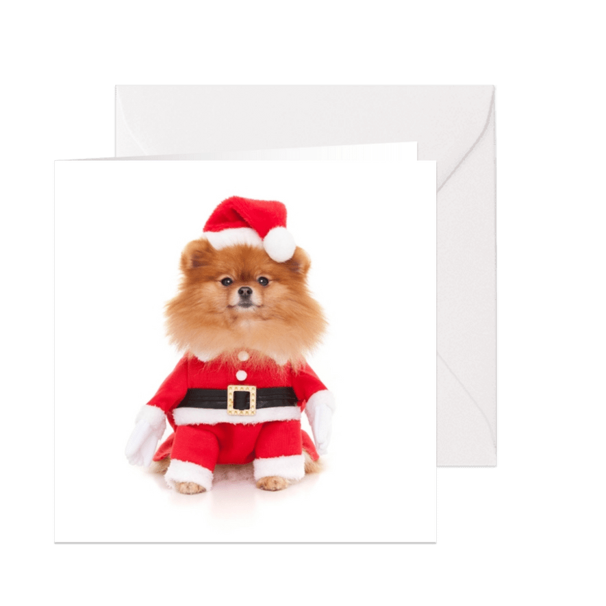 Dieren Kerstkaart - Pomeranian kerstman - Kaartimpressie