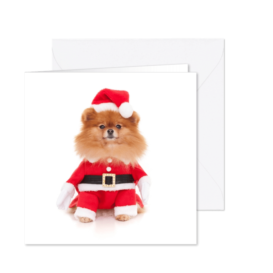Dieren Kerstkaart - Pomeranian kerstman - Kaartimpressie