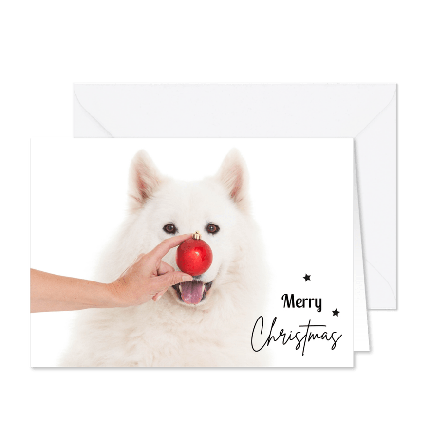 Dieren Kerstkaart - Samojeed rode kerstbal - Kaartimpressie