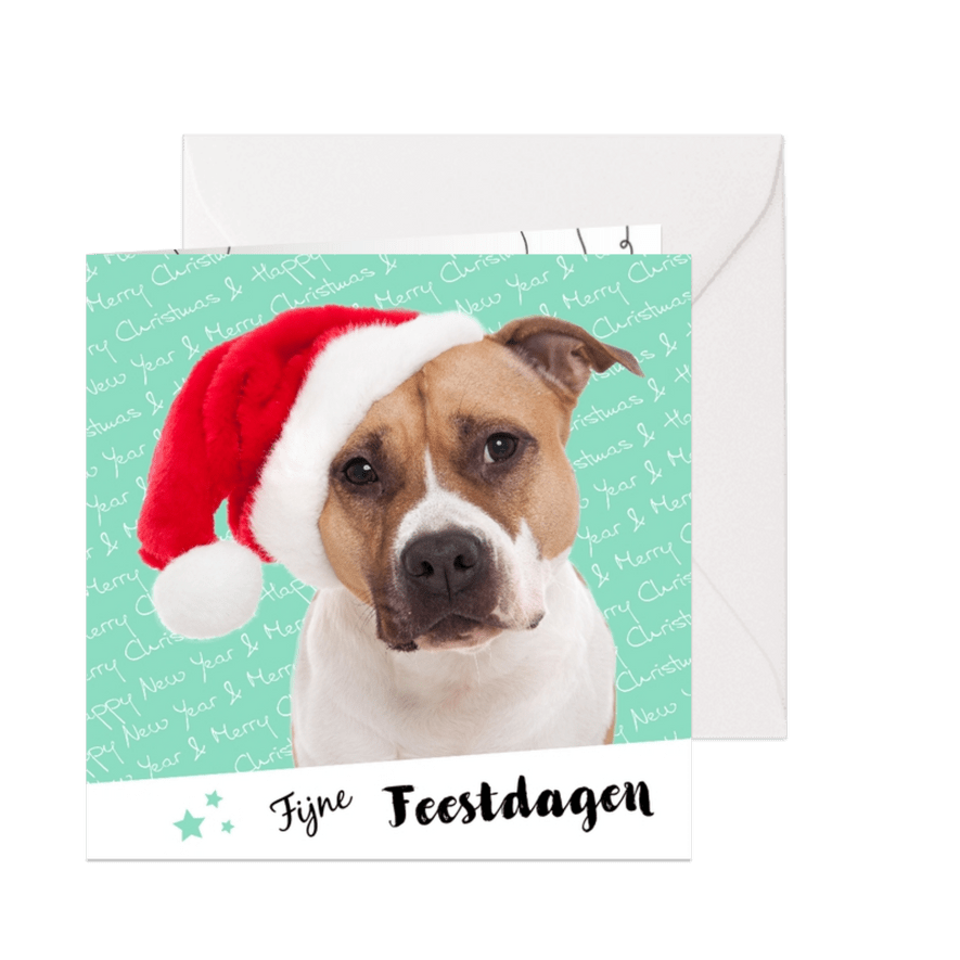 Dieren Kerstkaart - Stafford Kersthond - Kaartimpressie