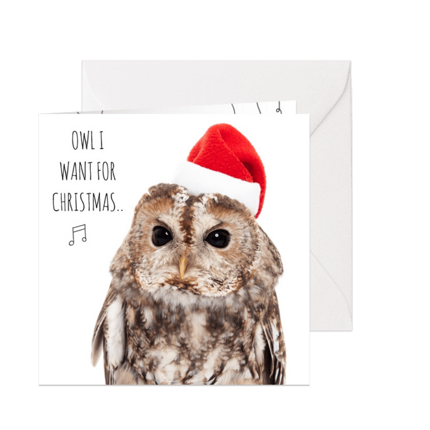 Dieren Kerstkaart - Uil - Love - Kaartimpressie