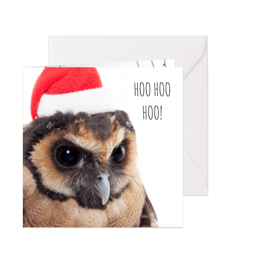 Dieren Kerstkaart - Uil - Santa - Kaartimpressie