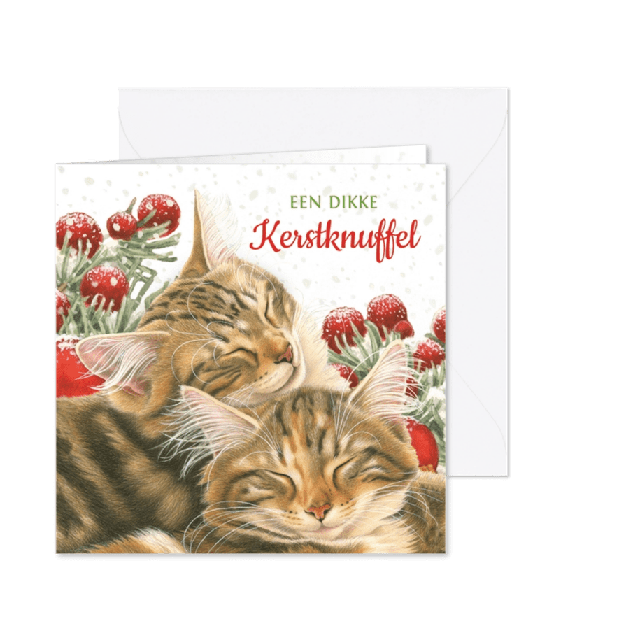 Dikke kerstknuffel kaart met 2 lieve kittens - Kaartimpressie