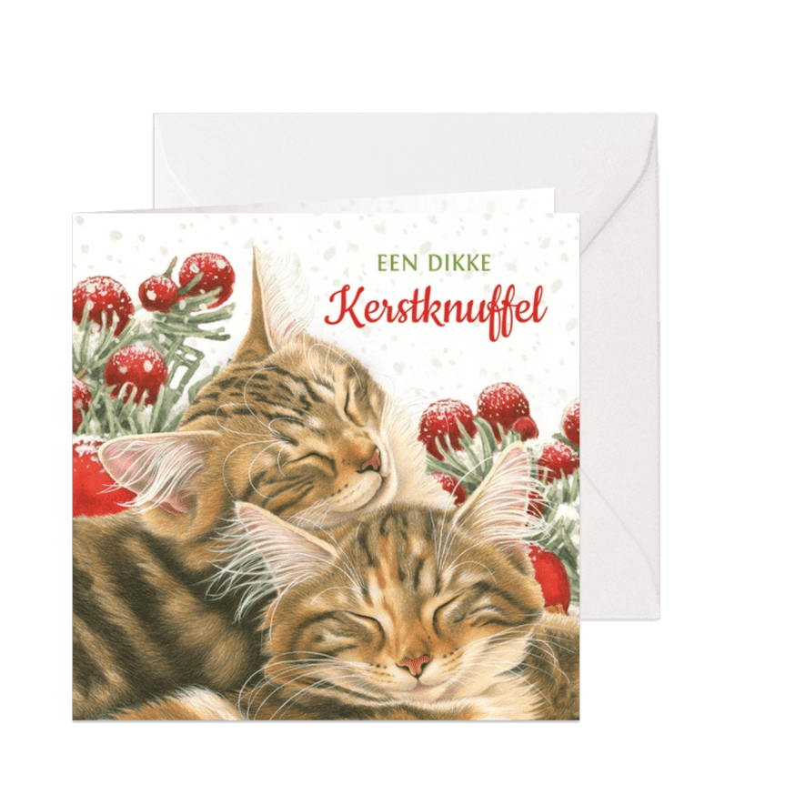 Dikke kerstknuffel kaart met 2 lieve kittens - Kaartimpressie