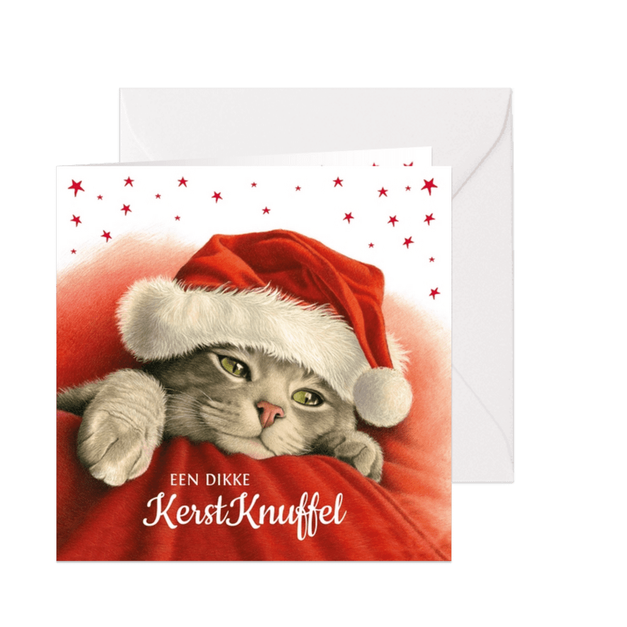 Een dikke kerstknuffel van deze lieve kerstkat - Kaartimpressie