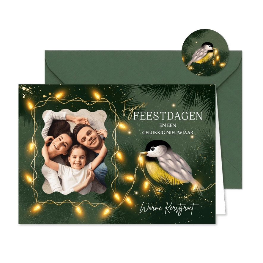 Foto kerstkaartje lief koolmeesje met lichtjes - Kaartimpressie