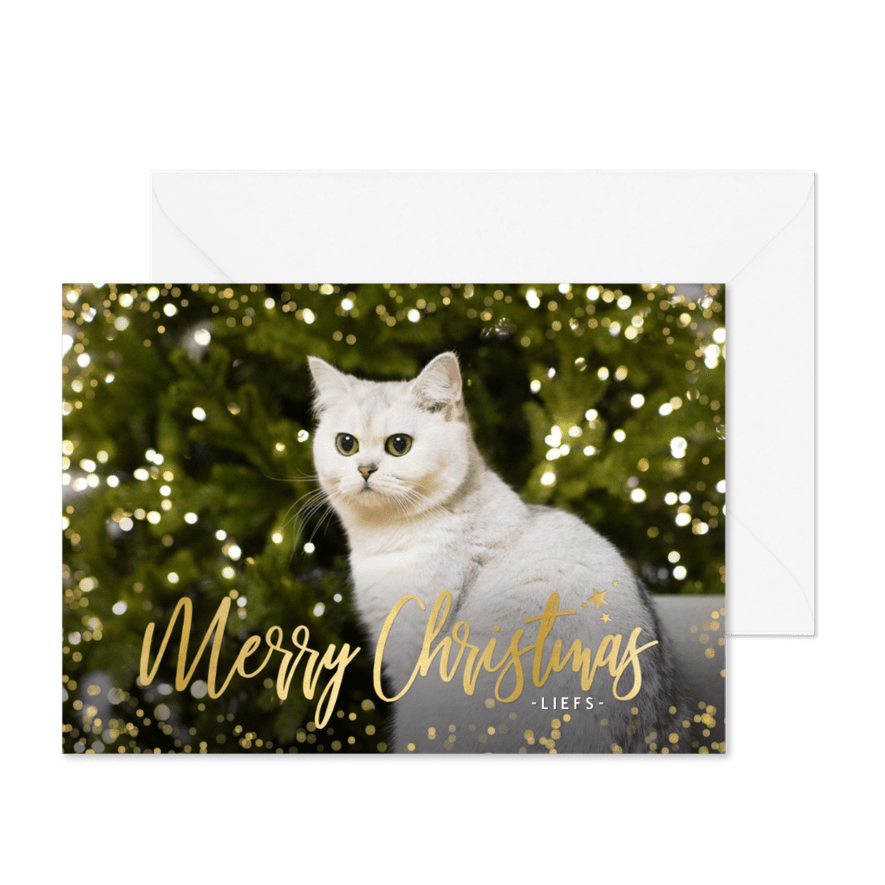 Fotokaart kerst enkel liggend grote foto confetti kader - Kaartimpressie