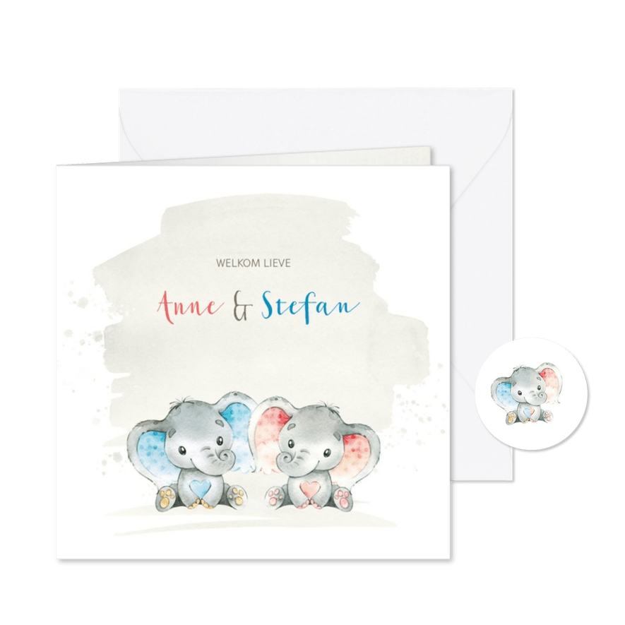 Geboortekaart met olifant tweeling j/m  - Kaartimpressie