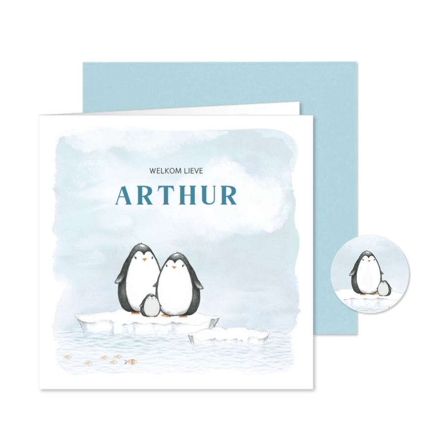 Geboortekaart met pinguin op ijsschots - Kaartimpressie