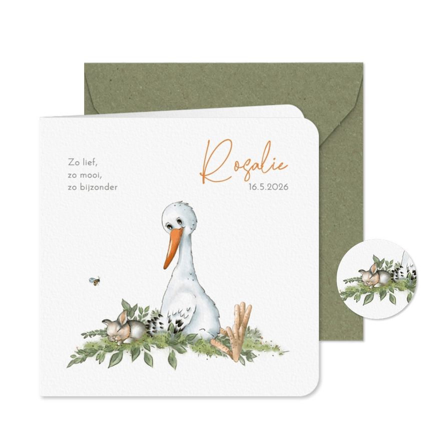 Geboortekaart ooievaar met konijntje - Kaartimpressie