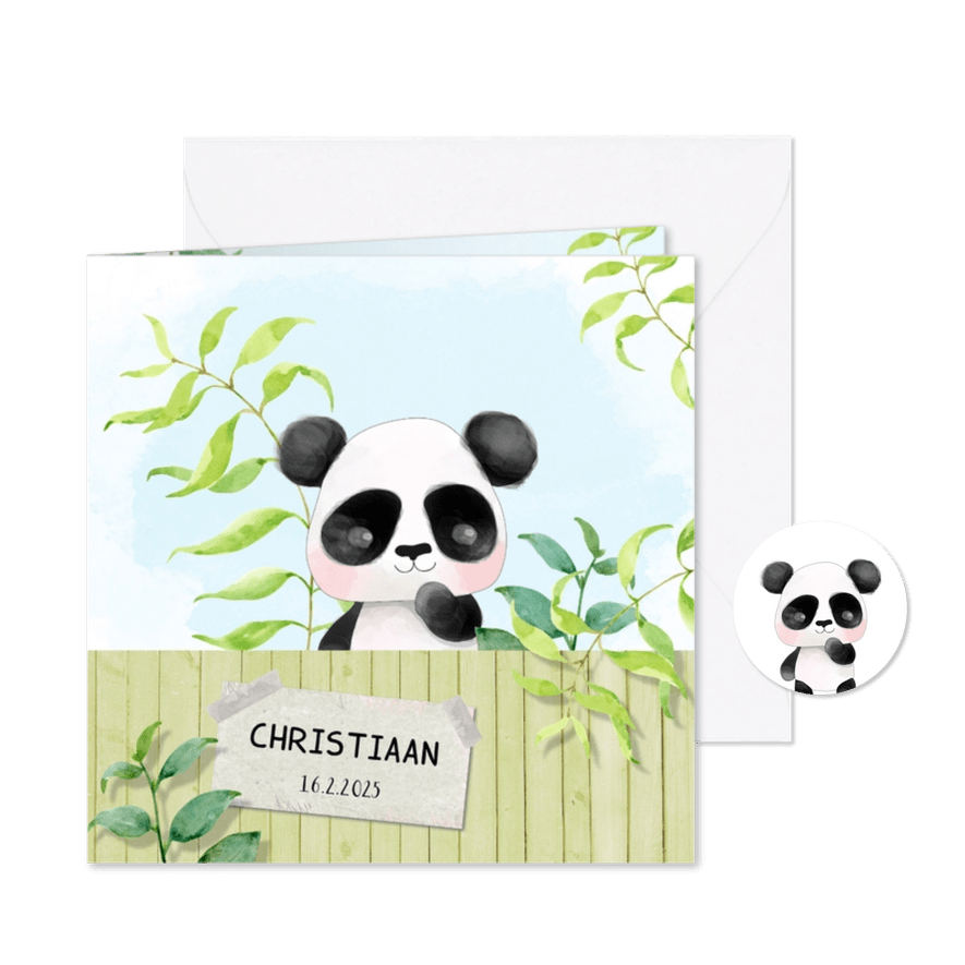 Geboortekaart Panda - jongen - Kaartimpressie