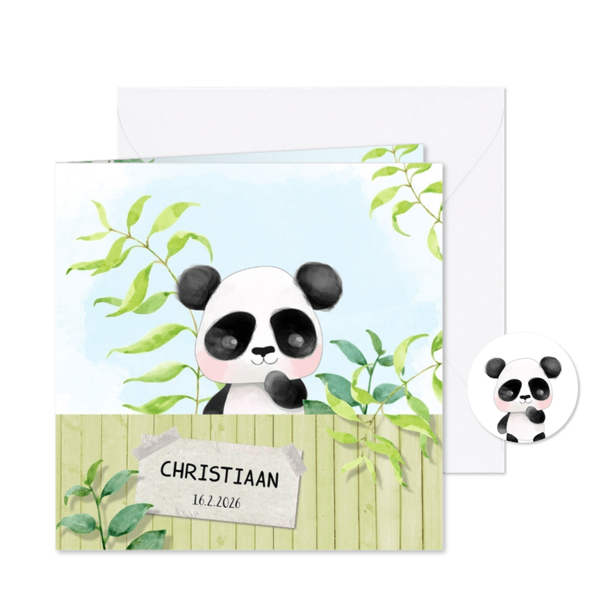 Geboortekaart Panda - jongen - Kaartimpressie