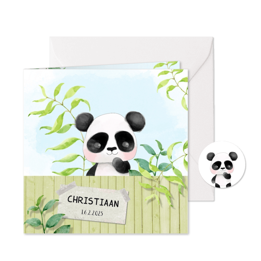 Geboortekaart Panda - jongen - Kaartimpressie