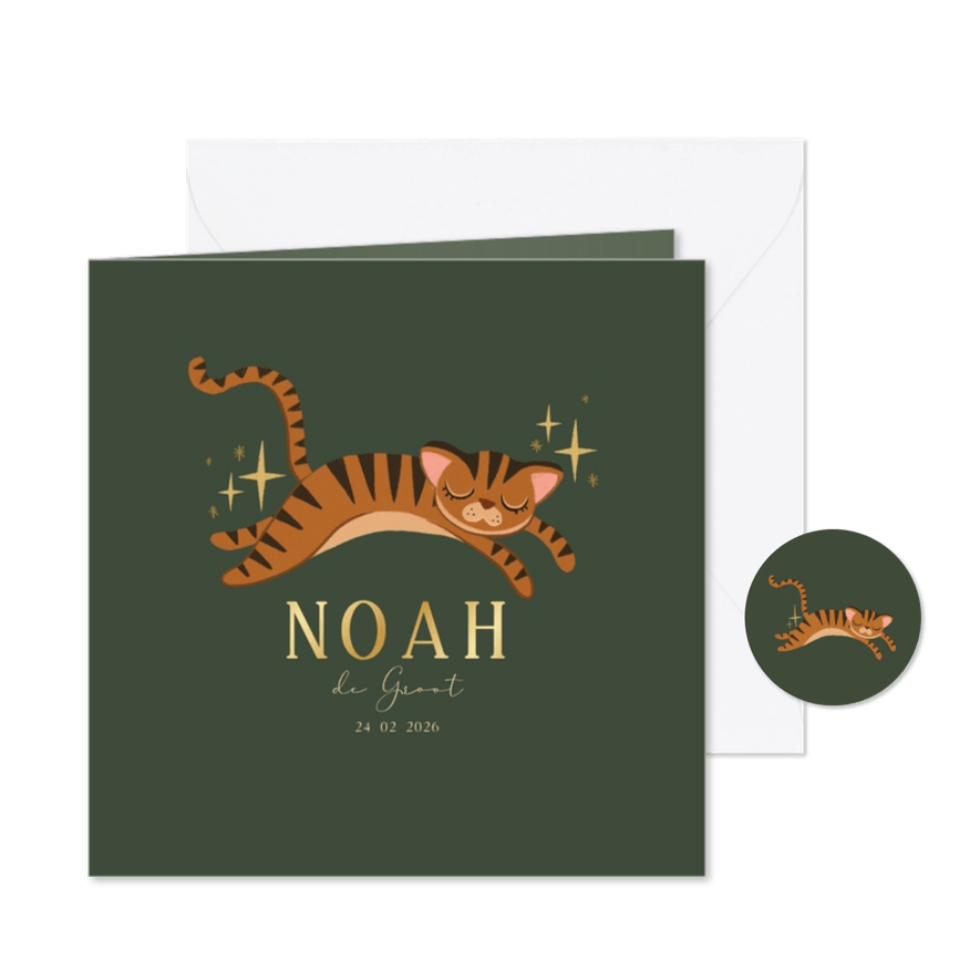 Geboortekaart slapend tijgertje - Kaartimpressie