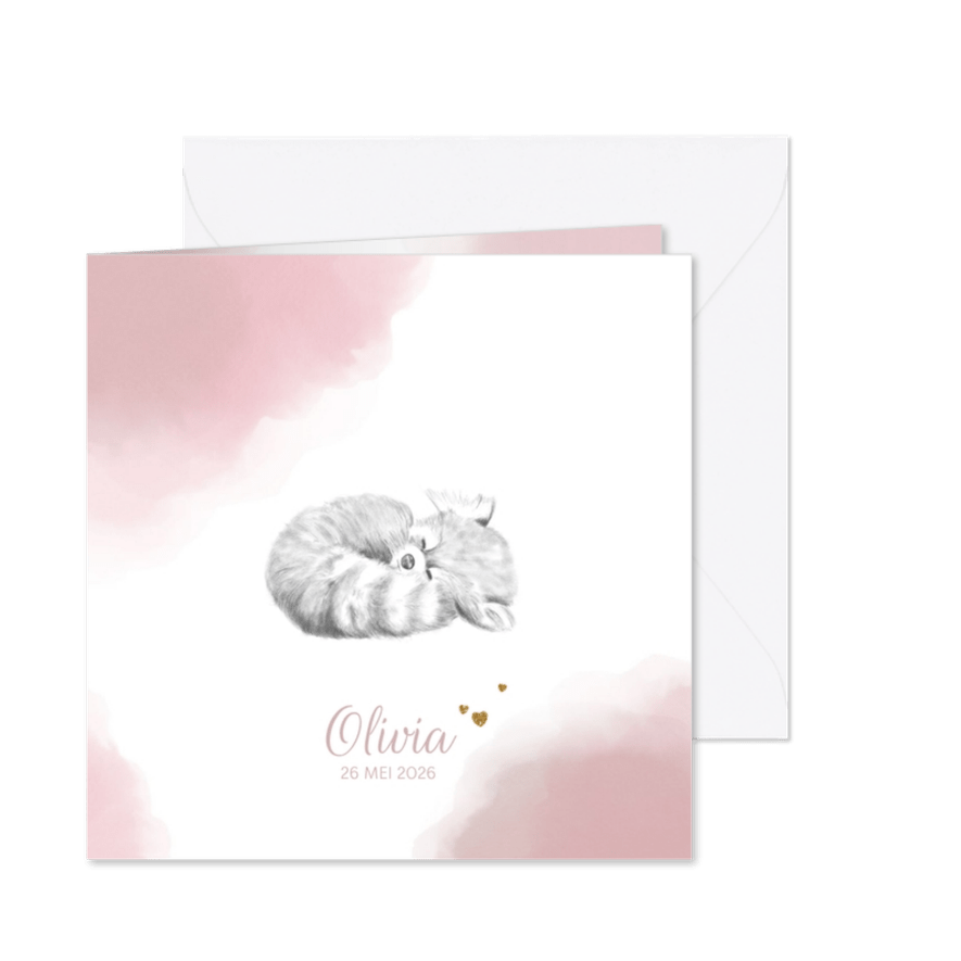 Geboortekaart waterverf en potloodtekening lief pandabeertje - Kaartimpressie