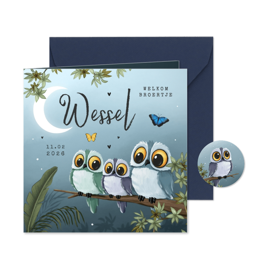 Geboortekaartje 3e kindje jongen uiltjes dieren nacht maan - Kaartimpressie