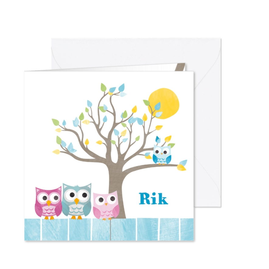 Geboortekaartje broer uiltjes - Kaartimpressie