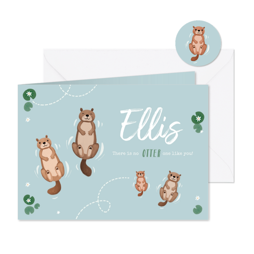 Geboortekaartje broertje otters familie water blauw - Kaartimpressie