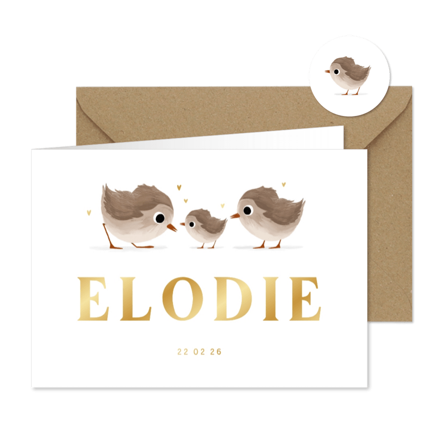 Geboortekaartje derde broertje of zusje met vogeltjes - Kaartimpressie