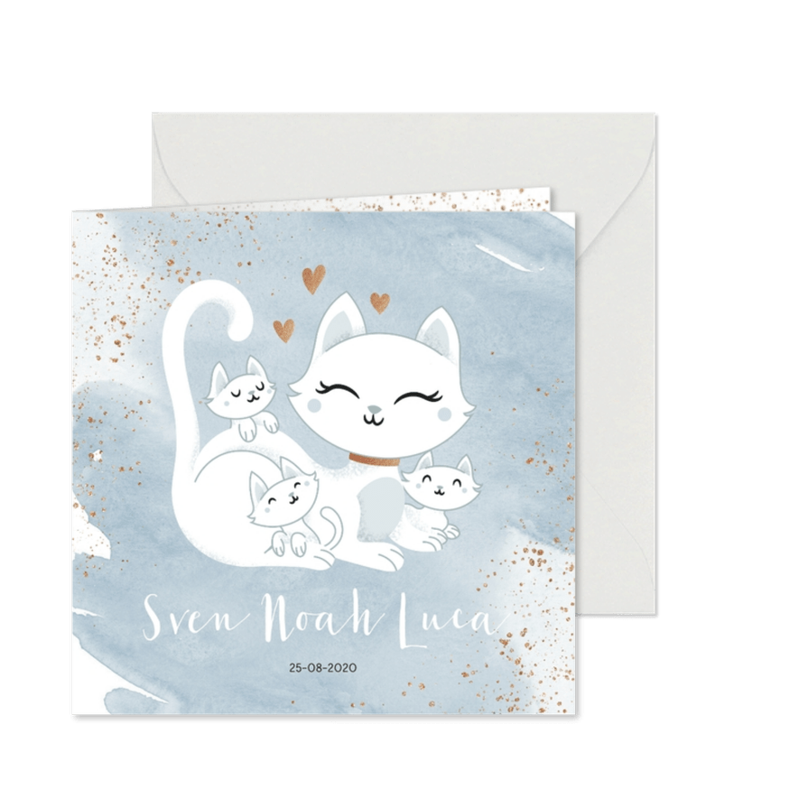 Geboortekaartje drieling meerling jongens poes met kittens - Kaartimpressie