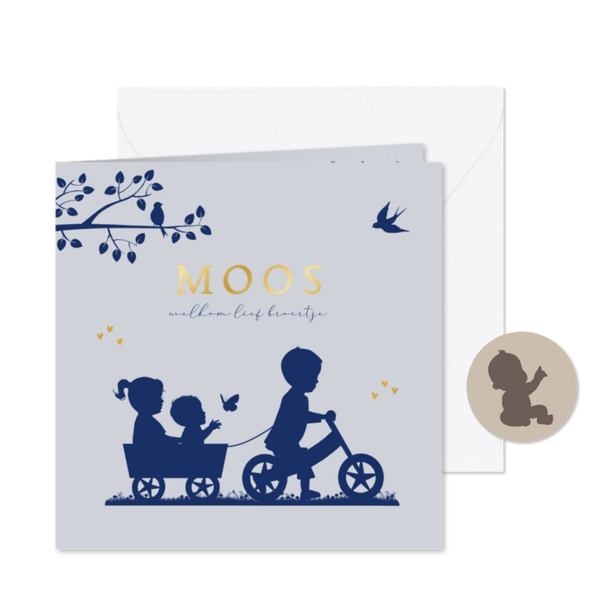 Geboortekaartje fietsje met kar en broertje zusje en baby  - Kaartimpressie