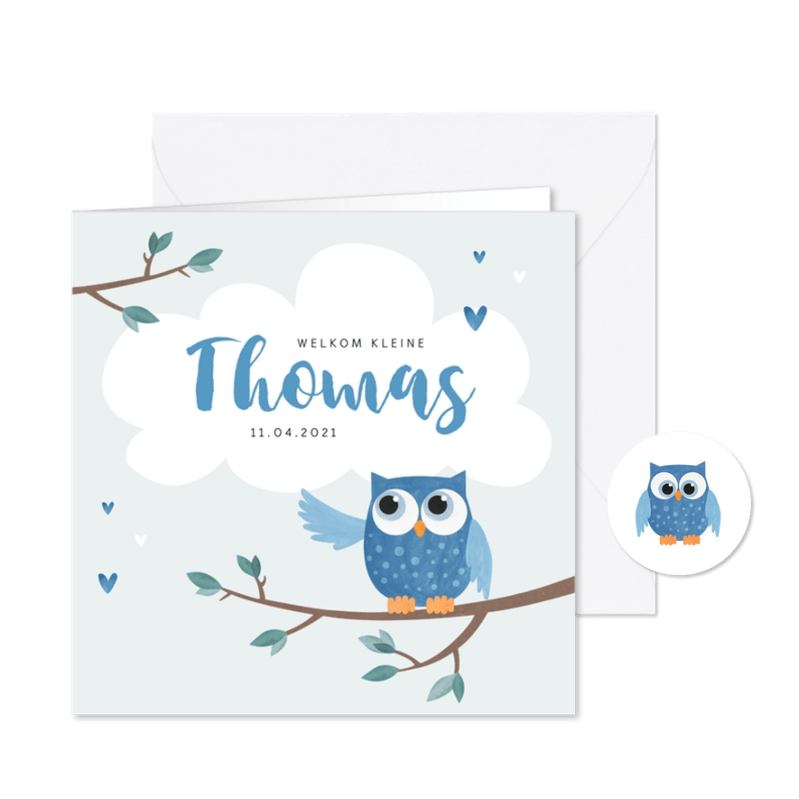 Geboortekaartje jongen uil op een takje met wolkje - Kaartimpressie