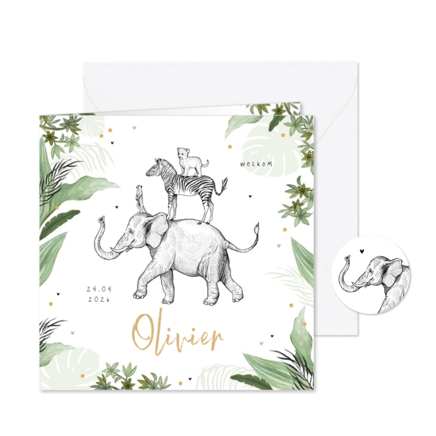 Geboortekaartje jungle dieren olifant leeuw confetti jongen - Kaartimpressie