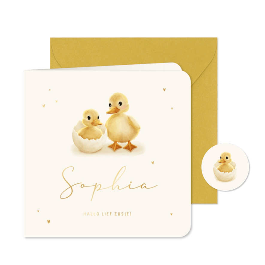Geboortekaartje kuikentje in ei met broertje of zusje - Kaartimpressie