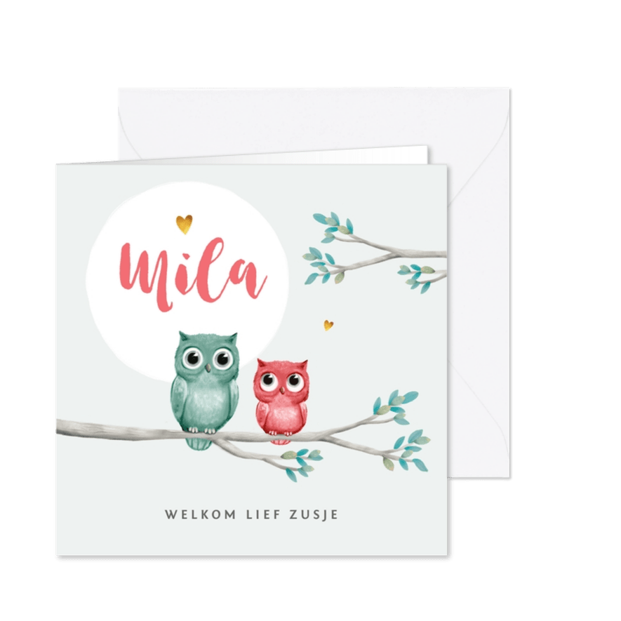 Geboortekaartje lief met uiltjes voor een zusje - Kaartimpressie