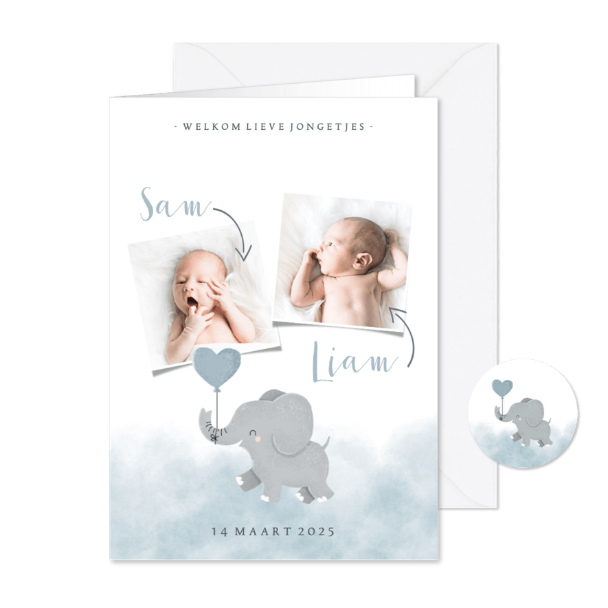 Geboortekaartje olifantje tweeling met en waterverf - Kaartimpressie