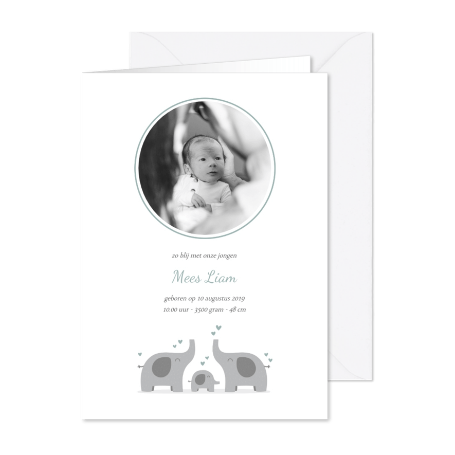 Geboortekaartje olifantjes met foto blauwgroen - Kaartimpressie