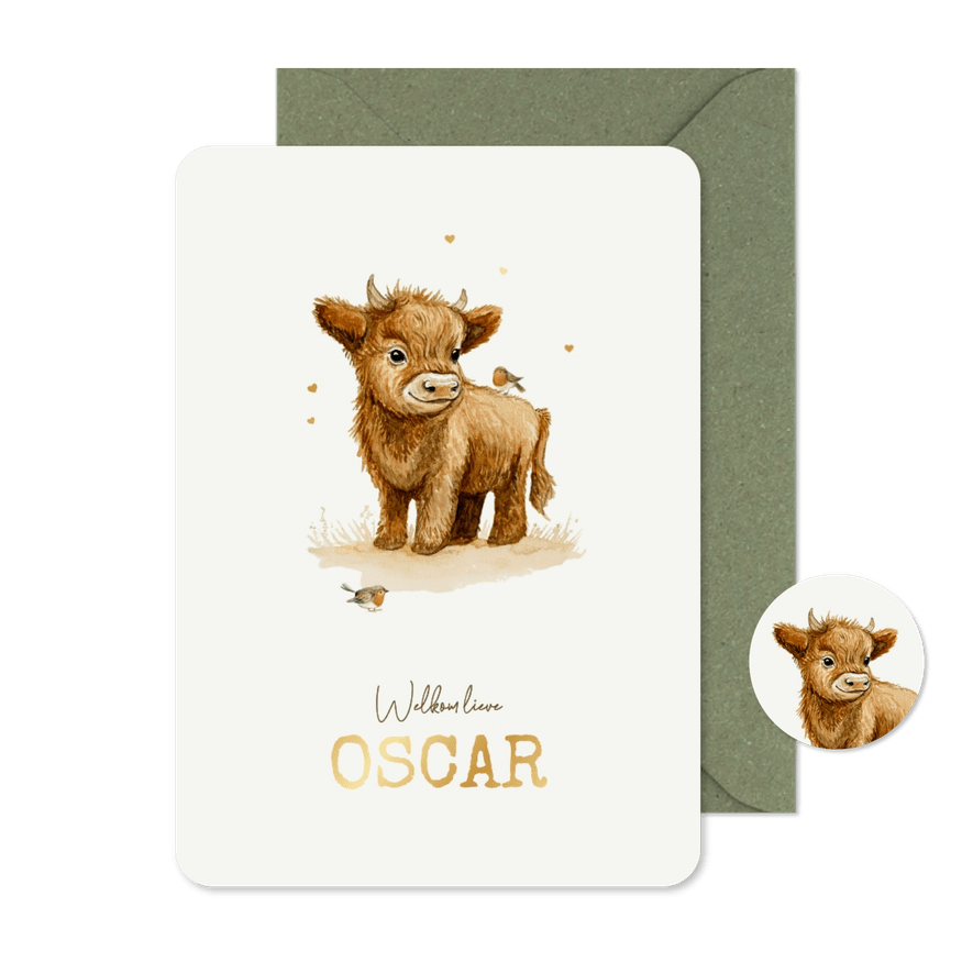 Geboortekaartje schotse hooglander jongen waterverf vogels - Kaartimpressie